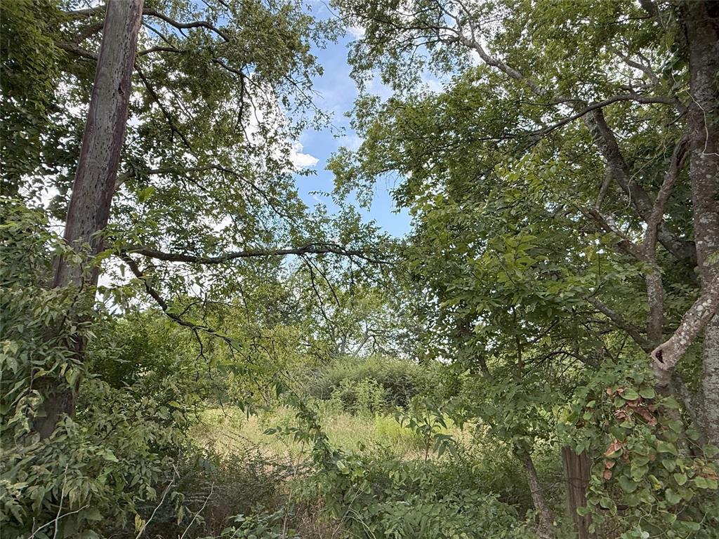 College Park Add - Land