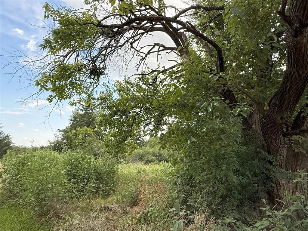 College Park Add - Land