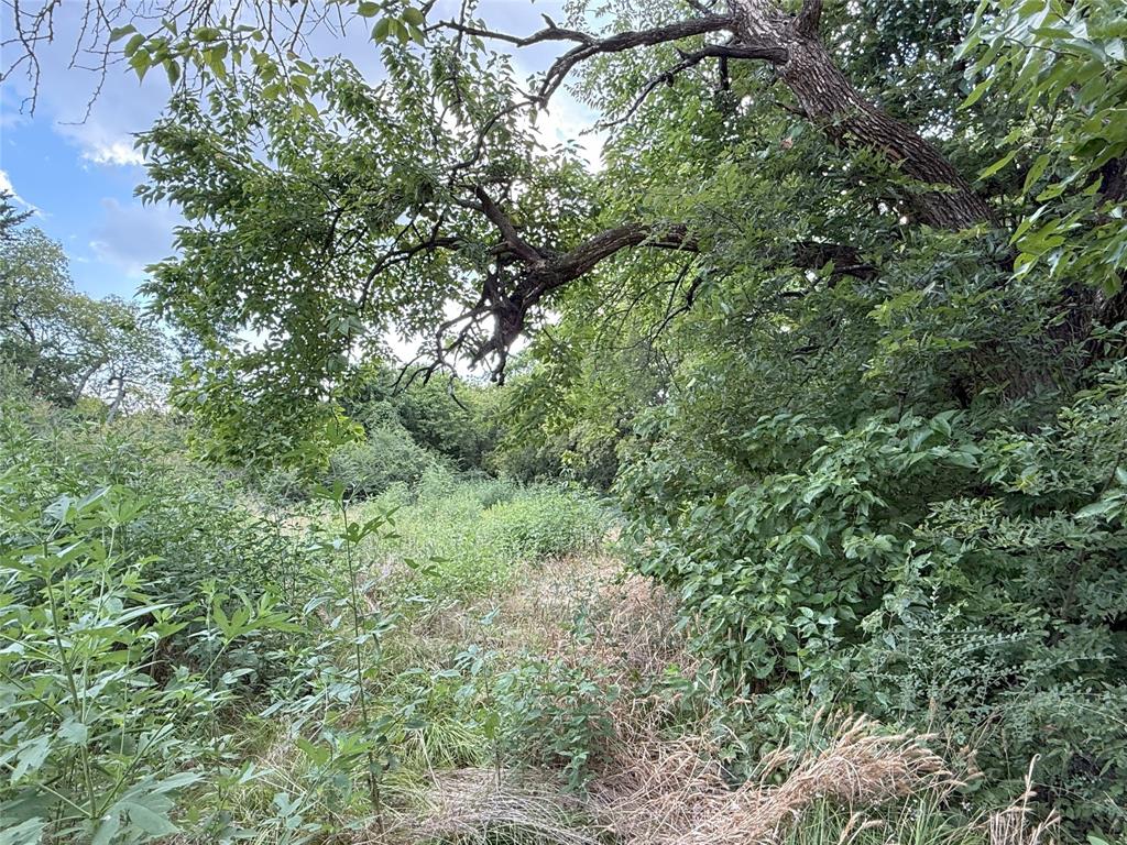 College Park Add - Land