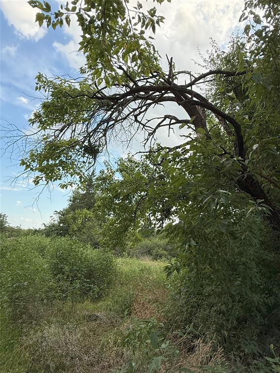 College Park Add - Land