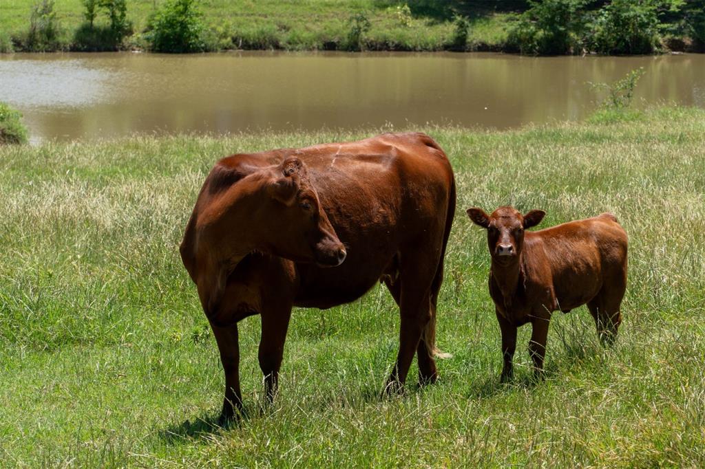 G-0326 DUGAN GEORGE G A-G0326, ACRES 41.3 - Land