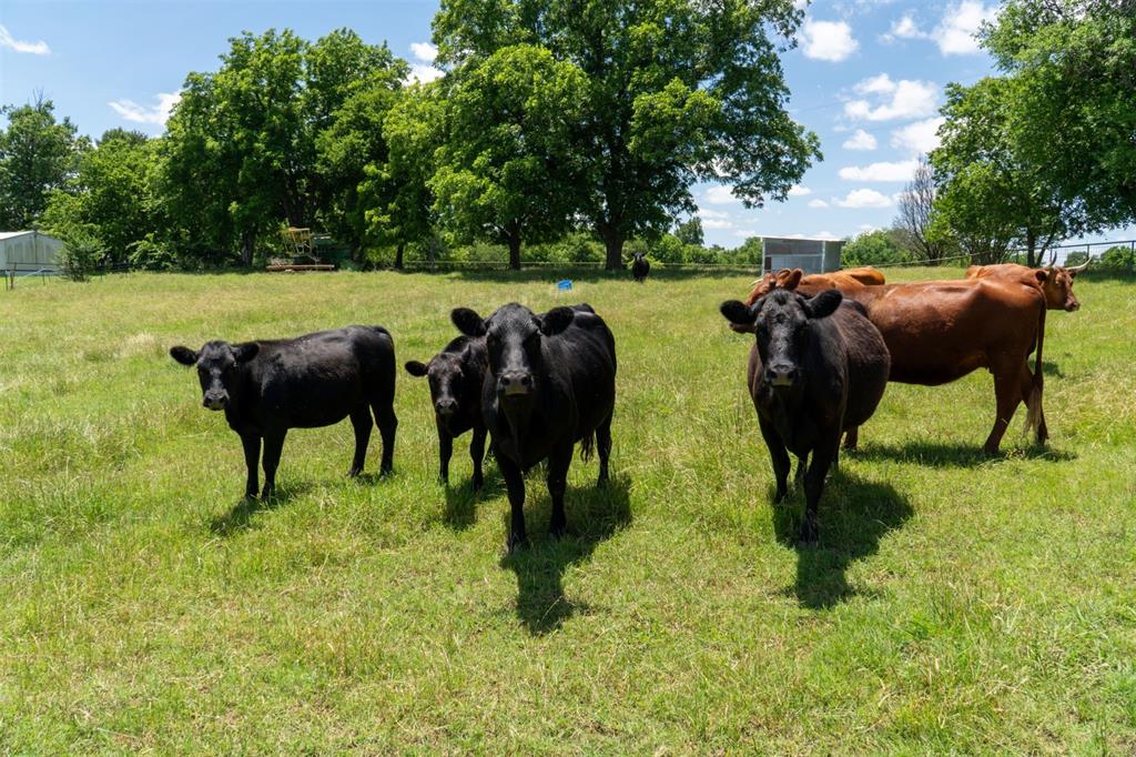 G-0326 DUGAN GEORGE G A-G0326, ACRES 41.3 - Land