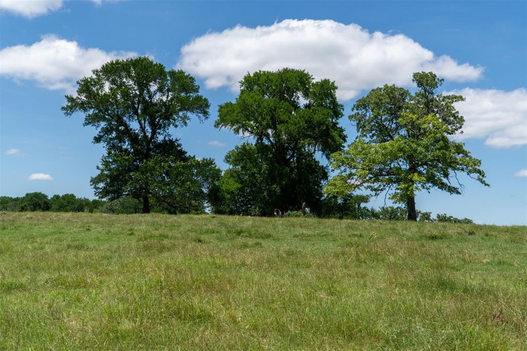 G-0326 DUGAN GEORGE G A-G0326, ACRES 41.3 - Land