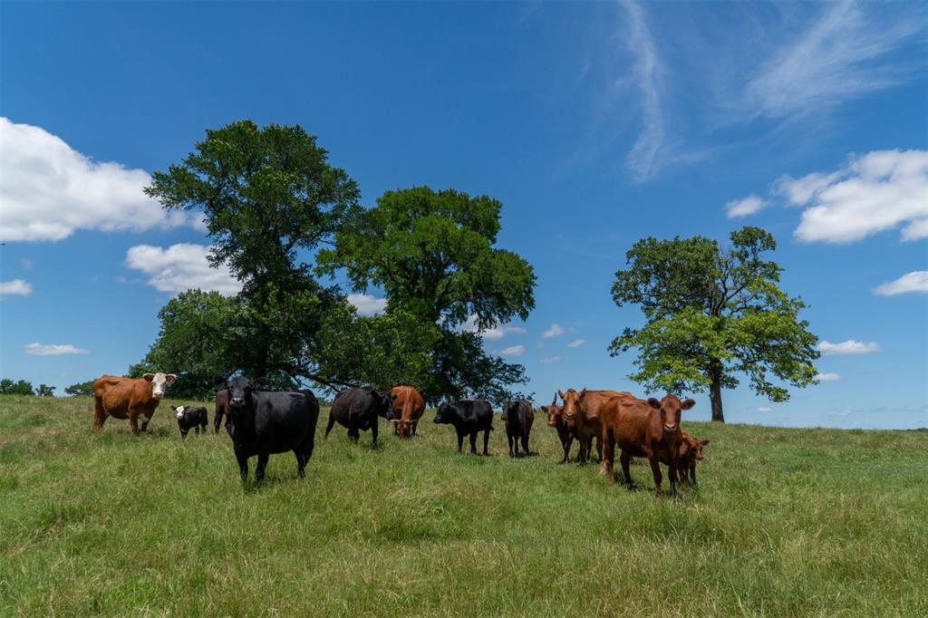 G-0326 DUGAN GEORGE G A-G0326, ACRES 41.3 - Land