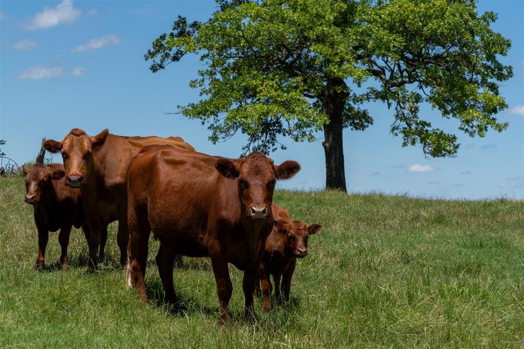 G-0326 DUGAN GEORGE G A-G0326, ACRES 41.3 - Land