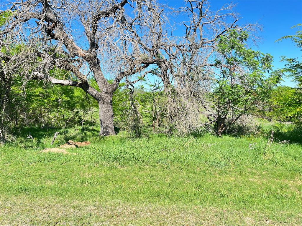 White Bluff #35 - Land