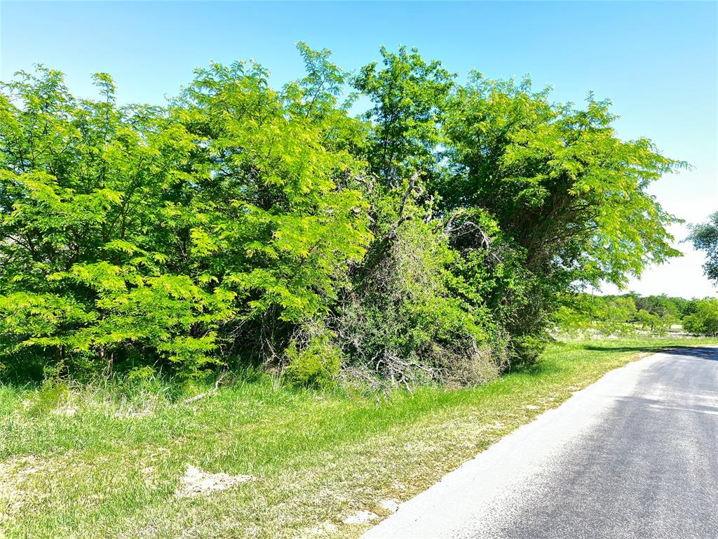 White Bluff #35 - Land