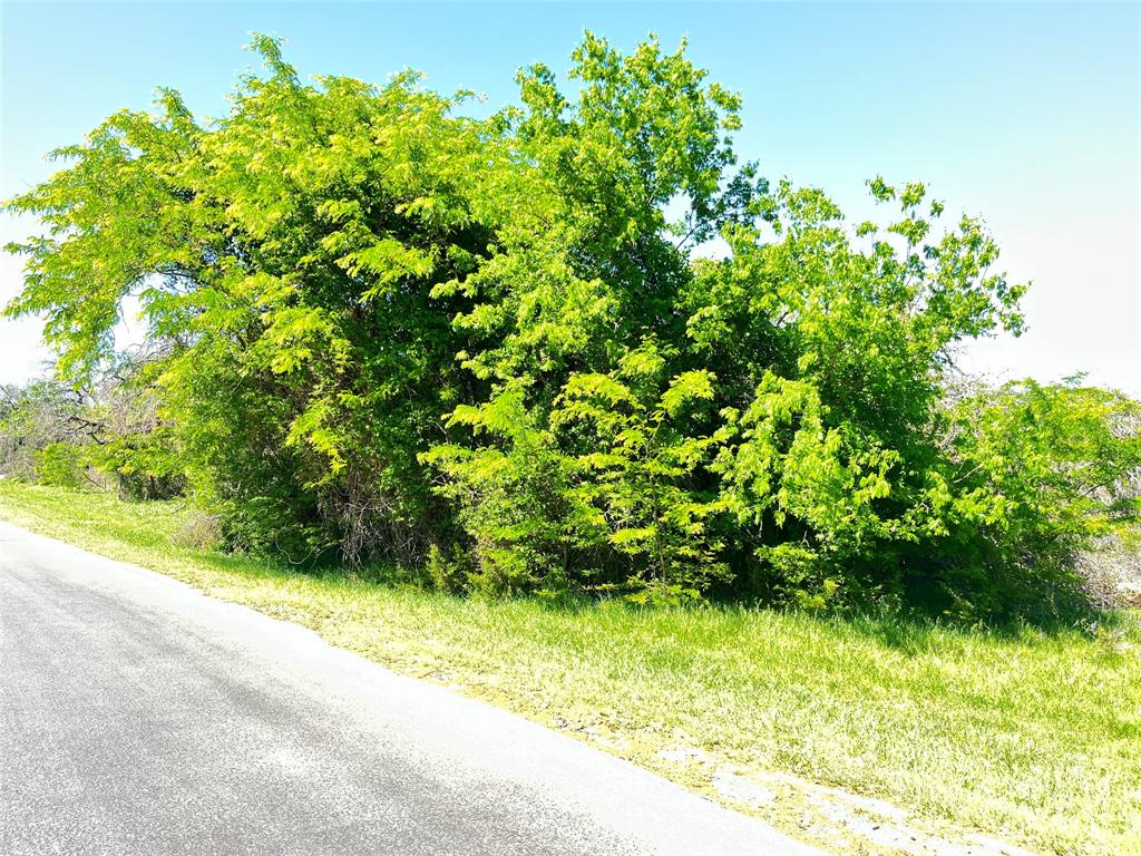 White Bluff #35 - Land