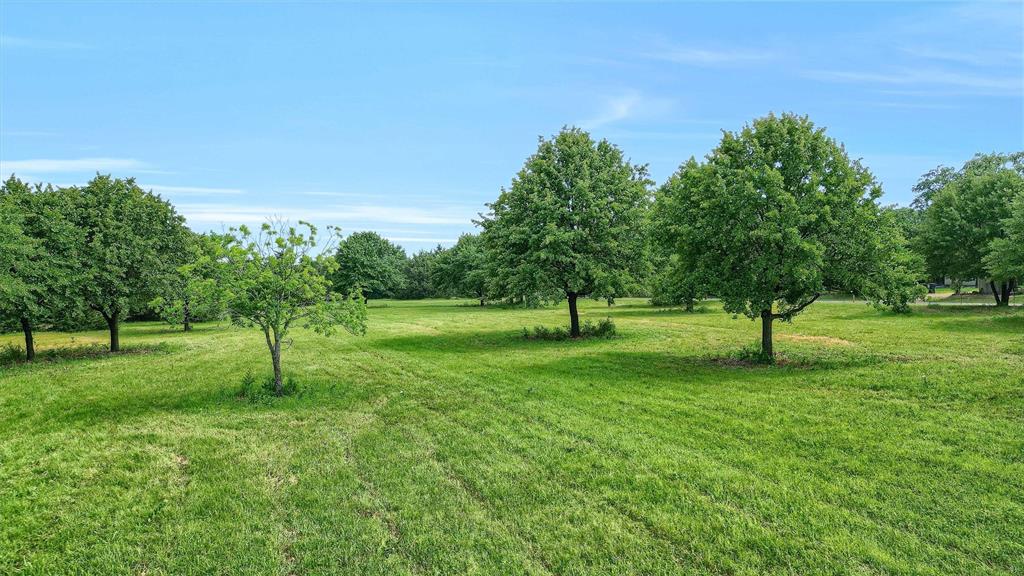 James Browning Surv Abs #97 - Land