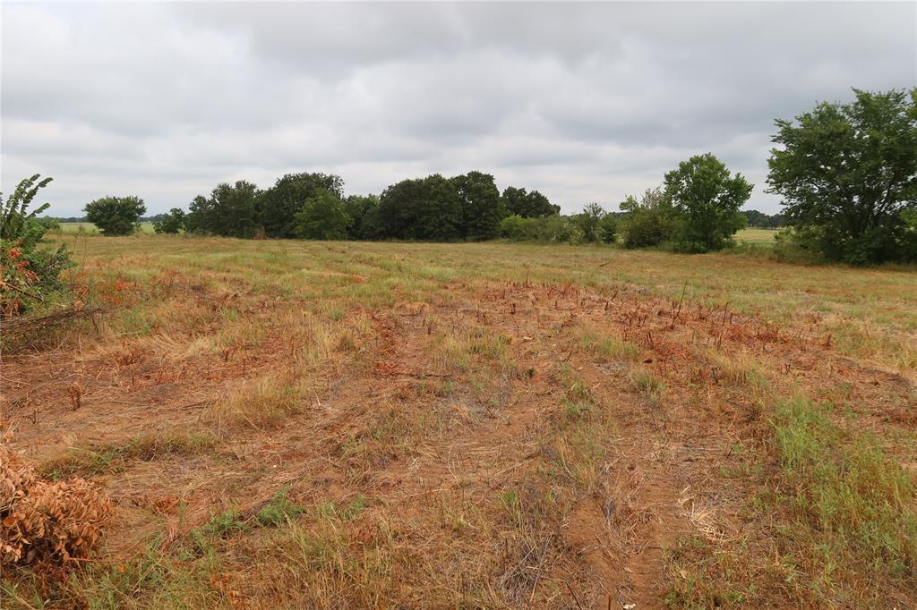 W M Scarborough Surv #a-699 - Land