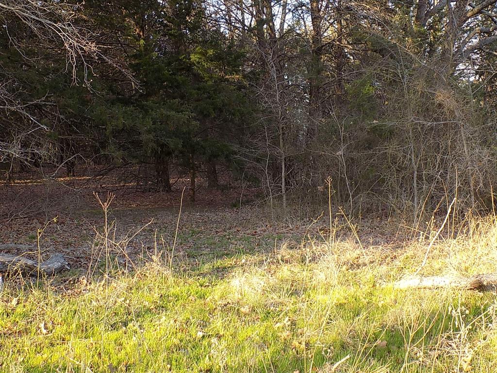 Padillo Delores Acrea - Land