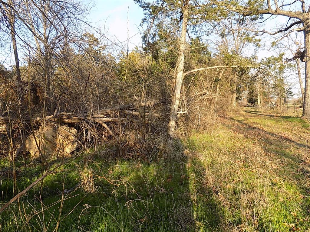 Padillo Delores Acrea - Land