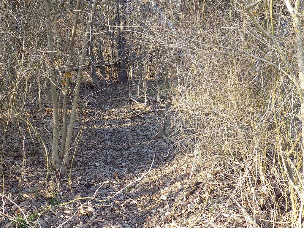 Padillo Delores Acrea - Land