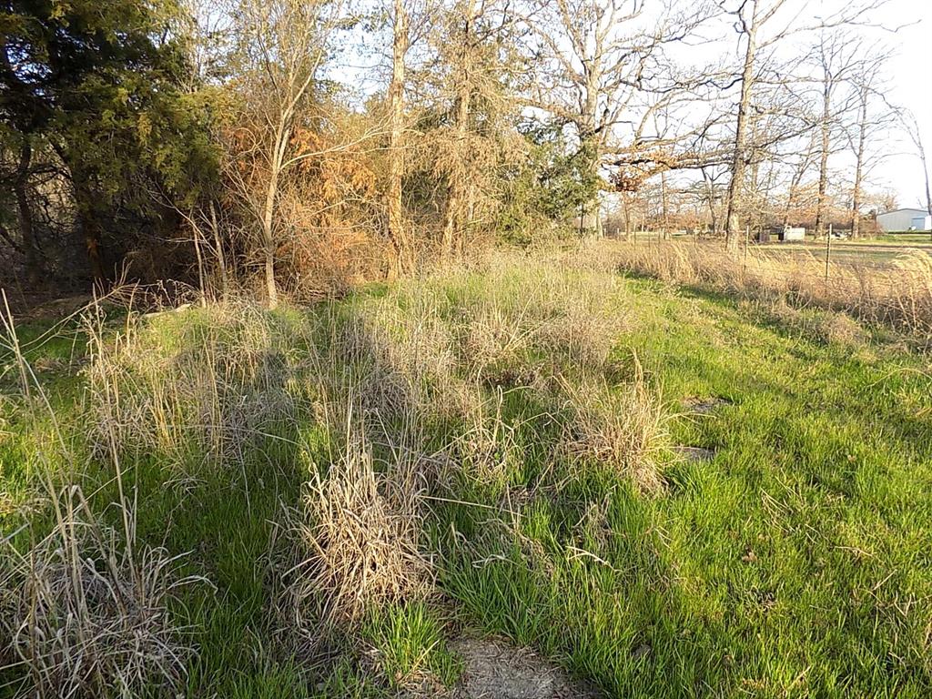 Padillo Delores Acrea - Land