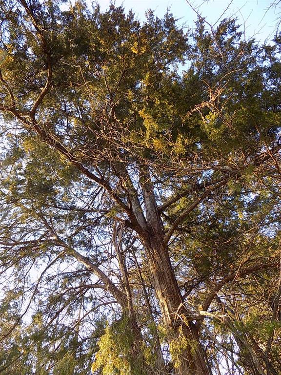 Padillo Delores Acrea - Land