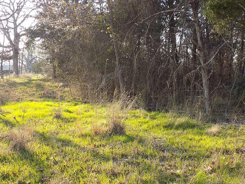 Padillo Delores Acrea - Land