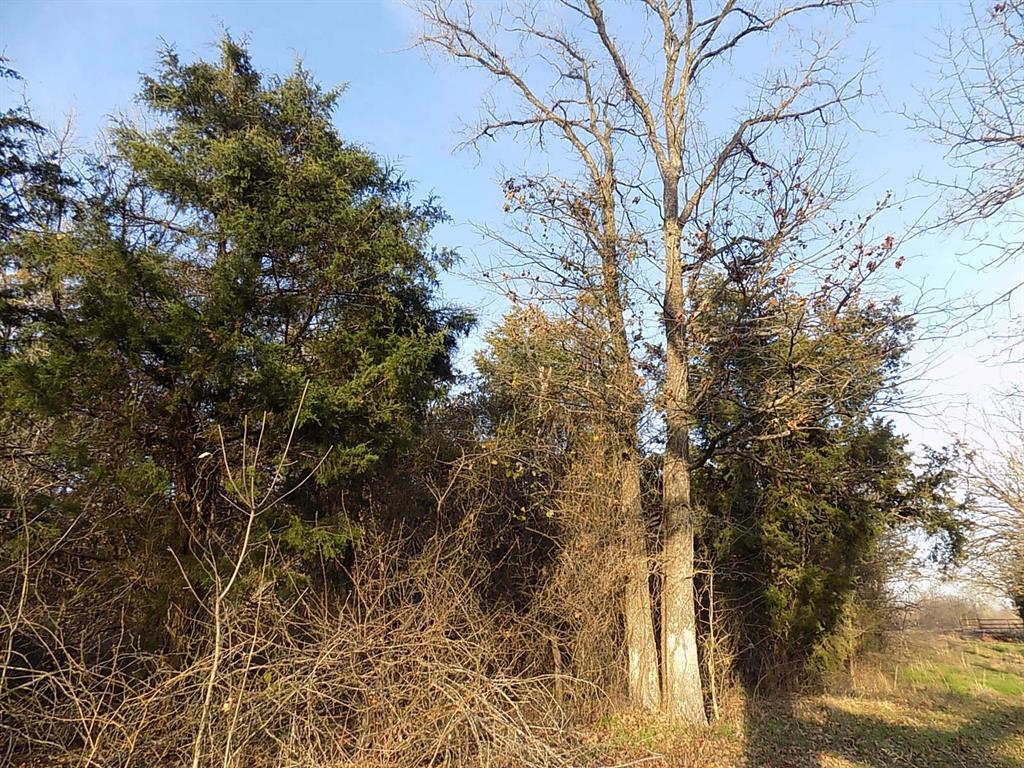 Padillo Delores Acrea - Land