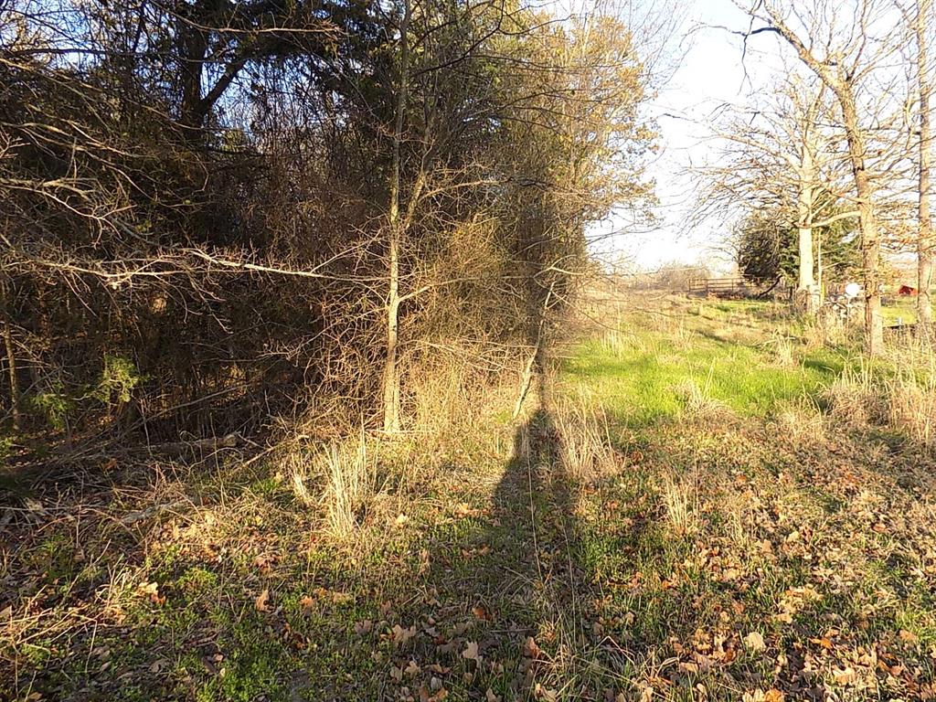 Padillo Delores Acrea - Land