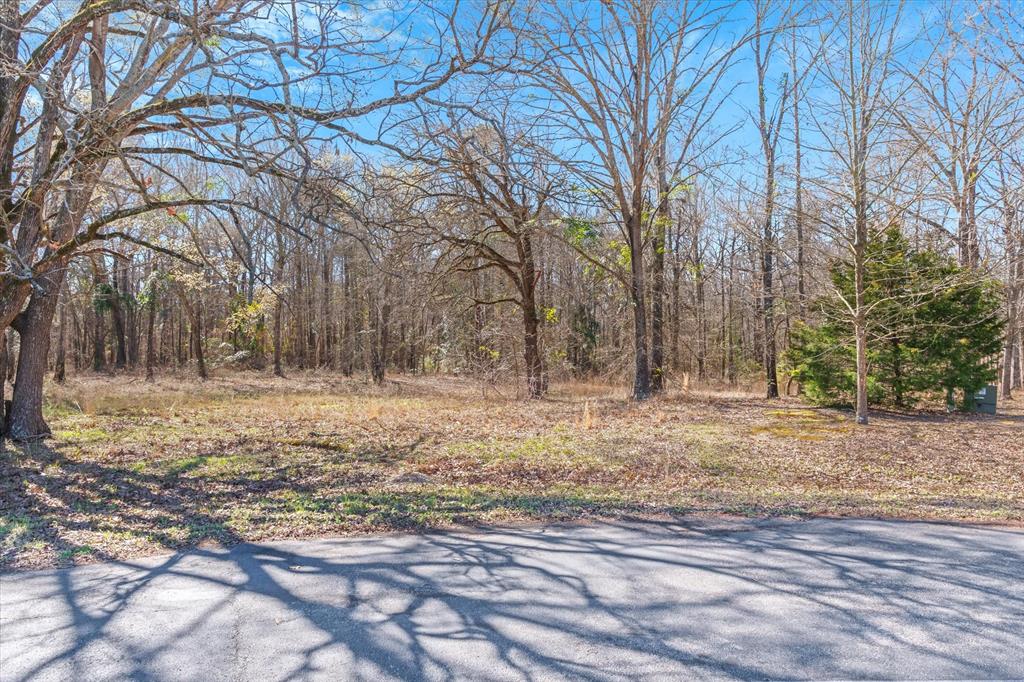 23790 Champion Drive