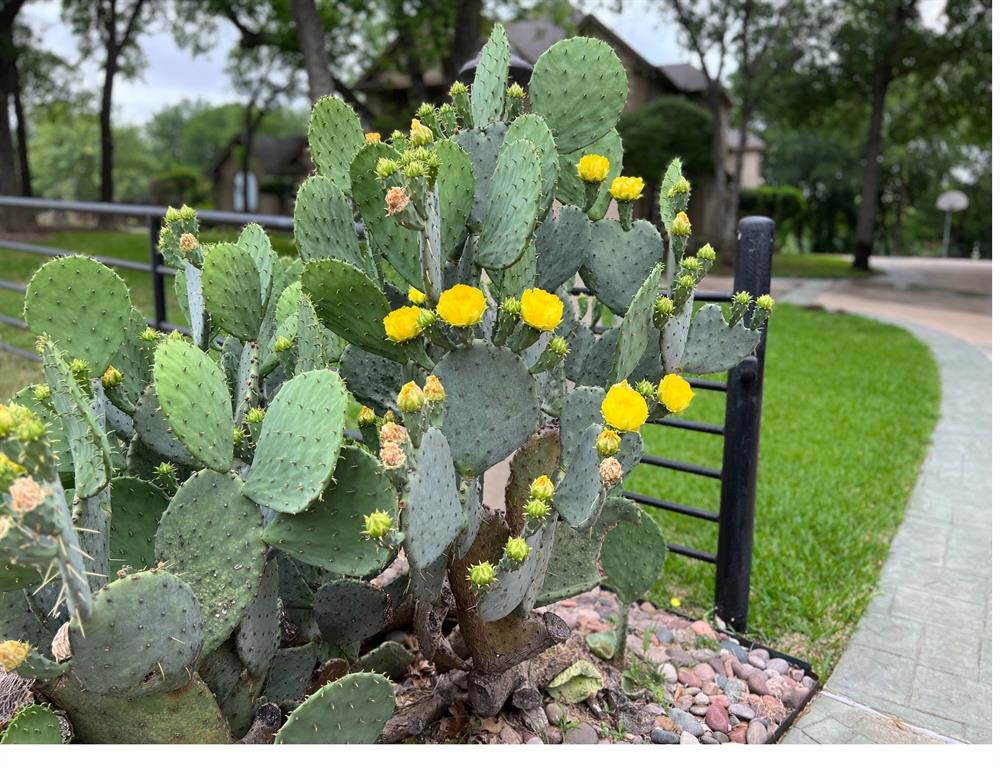 Jw Withers - Residential