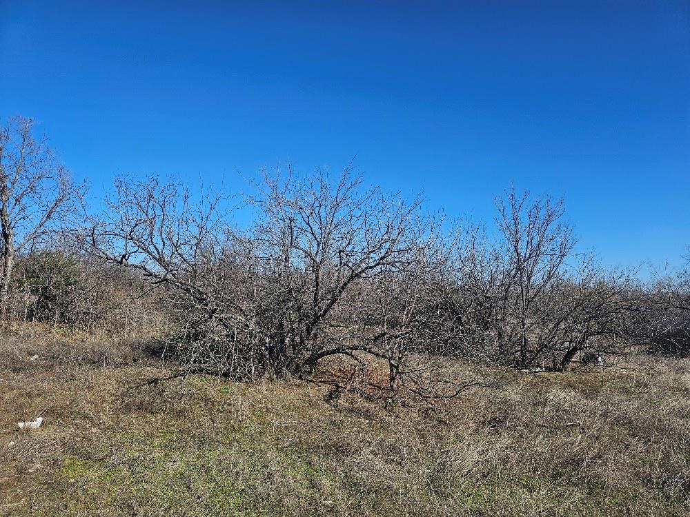 Hatcher, S A Survey - Land