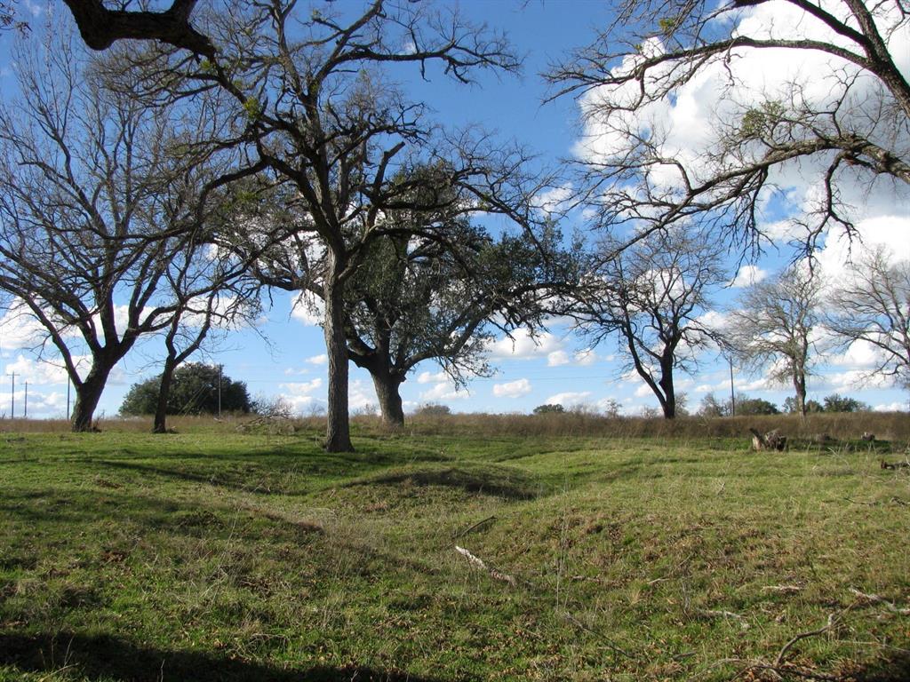 Buffalo Crk Ranch - Land