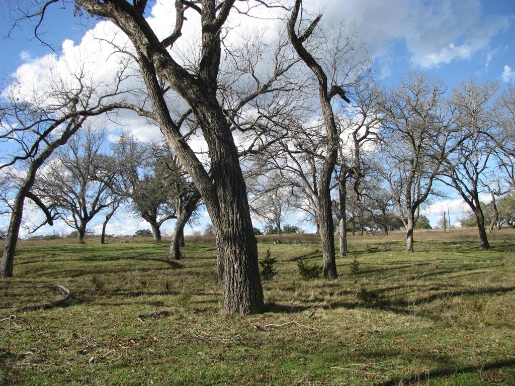 Buffalo Crk Ranch - Land
