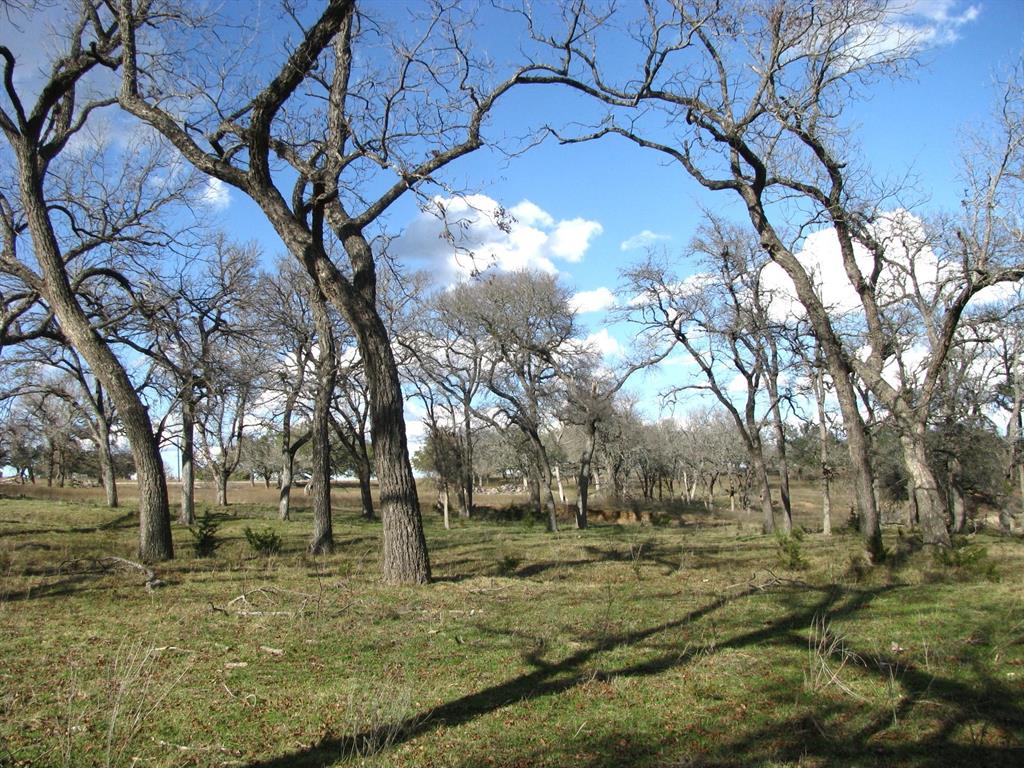 Buffalo Crk Ranch - Land