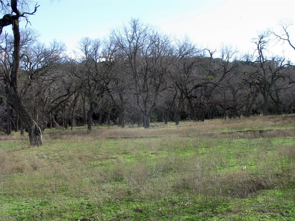 Buffalo Crk Ranch - Land