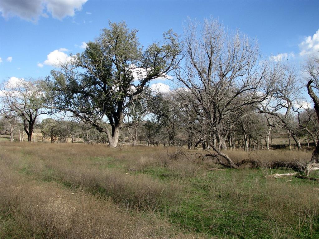 Buffalo Crk Ranch - Land