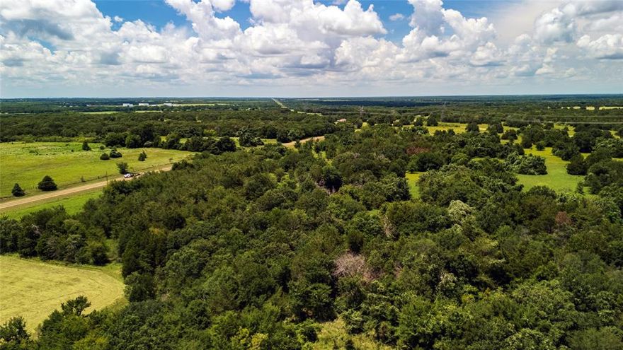 Seller Finance is available. This 10-acre tract of land, ideally situated just 10 minutes south of Wortham and a mere 20 minutes from Corsicana offers the ultimate blend of convenience yet is close to several stunning lakes and the city!  It is one of several that are currently available. With no deed restrictions, a new 4-inch water line and water tap fees have been paid, saving you thousands, the possibilities are endless—whether you're envisioning a large homestead, a weekend retreat, or an investment opportunity. The lush, green landscape is a blank canvas awaiting your vision. The mature trees provide a picturesque backdrop, while the open spaces offer ample room for building, farming, or recreational activities. Enjoy the peace of rural living without sacrificing accessibility to nearby towns and amenities. Photos are of the entire property.