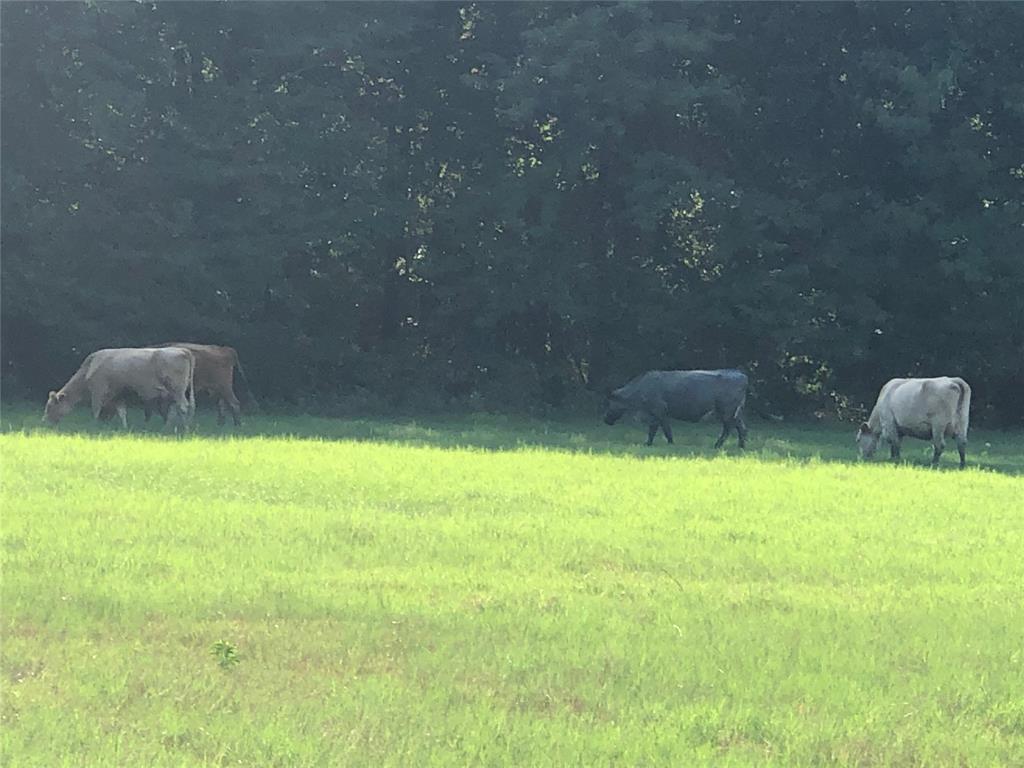 TBD County Road 4612