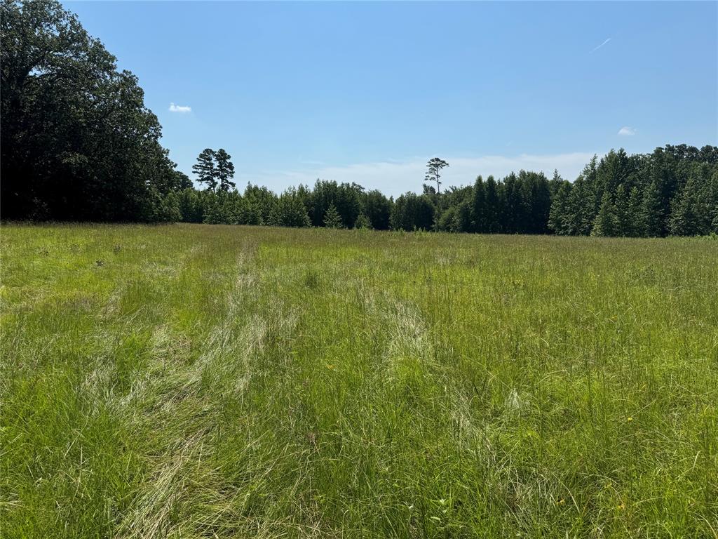 00 Couty Road 4426
