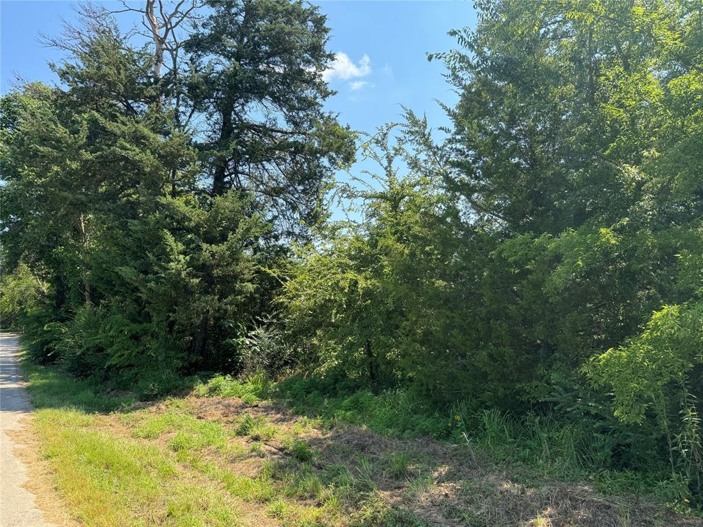 00 Couty Road 4426