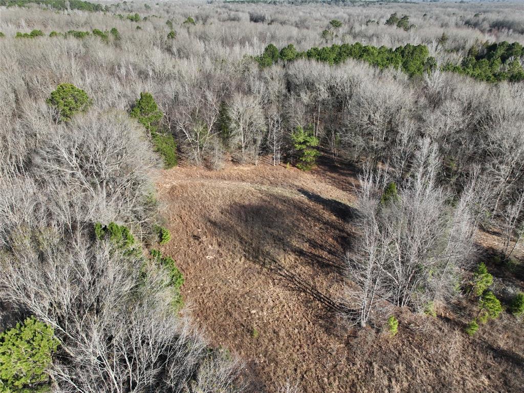 TBD County Road 3170