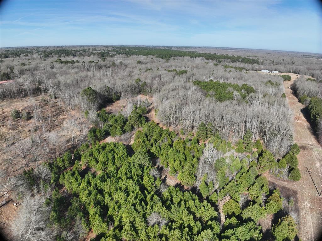 TBD County Road 3170