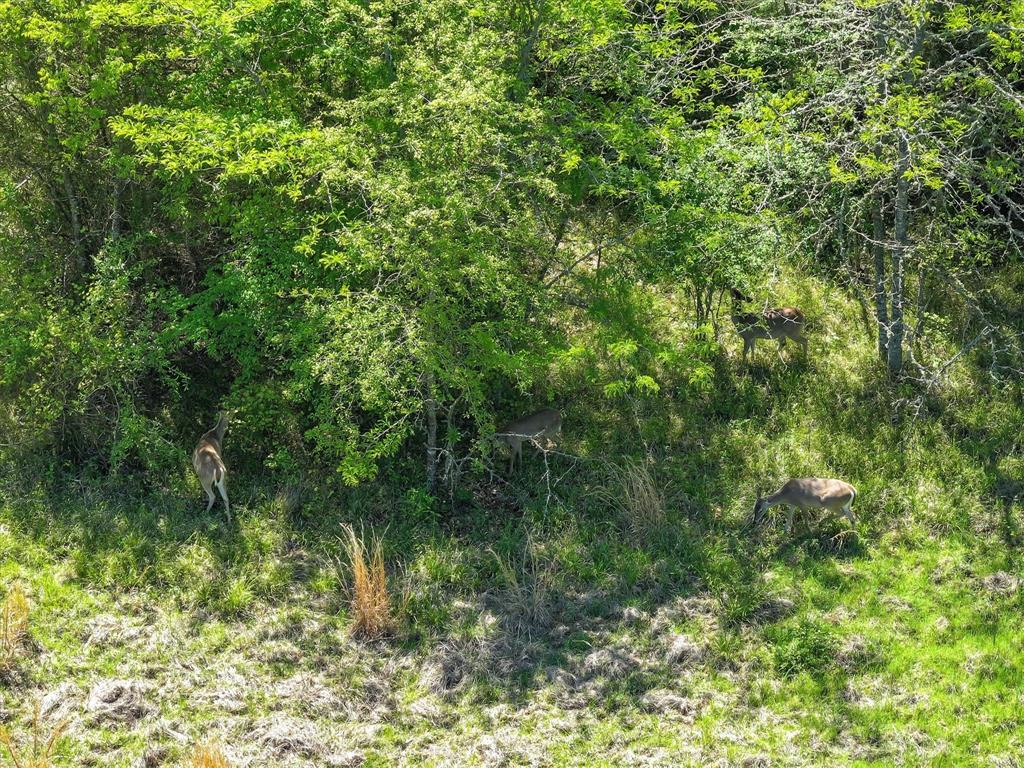 0000 VZ County Road 3710