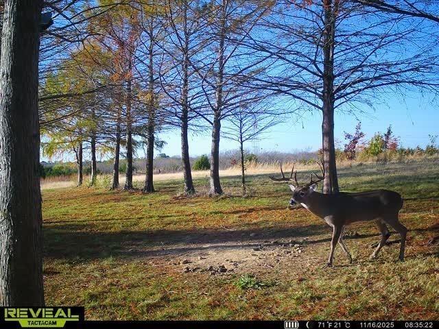 St Paul Lakeshore Estates Ph I - Residential