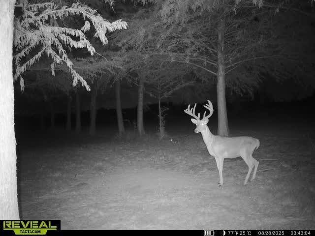 St Paul Lakeshore Estates Ph I - Residential