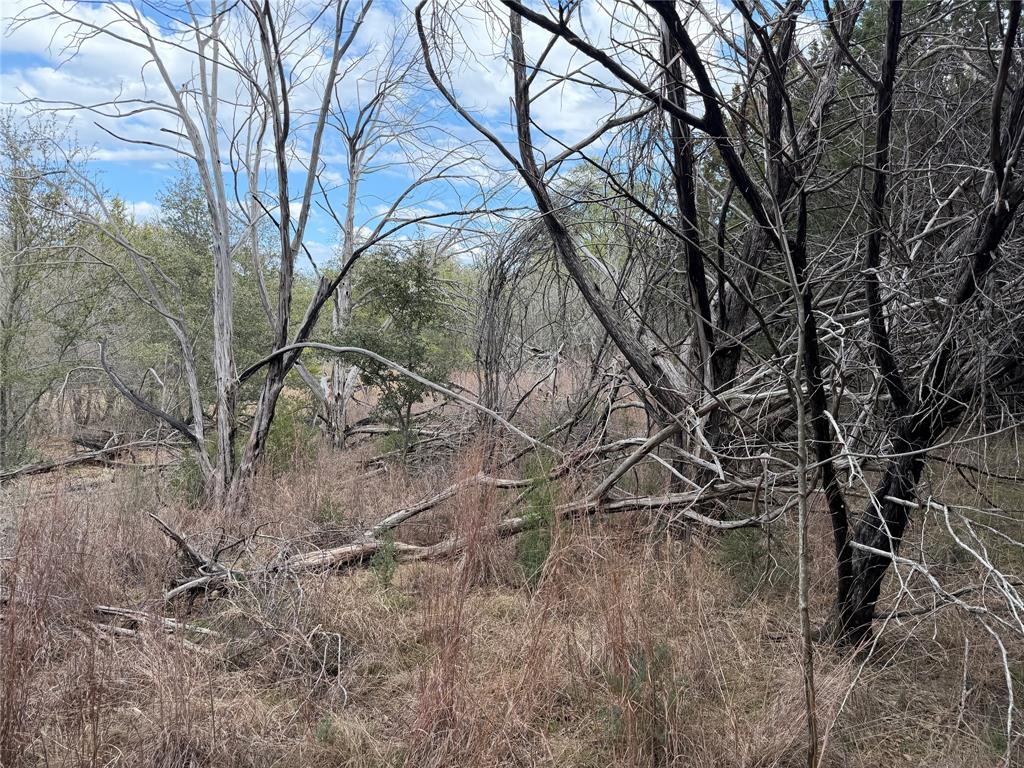 1070 Enchanted Rock Court