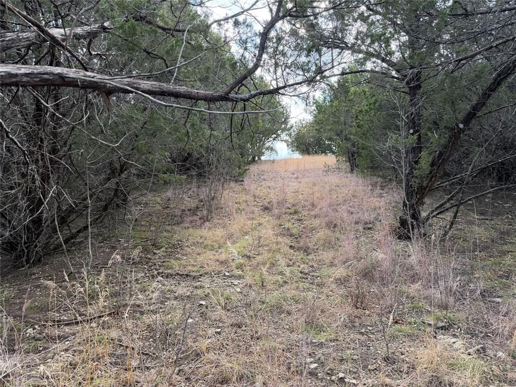 1070 Enchanted Rock Court