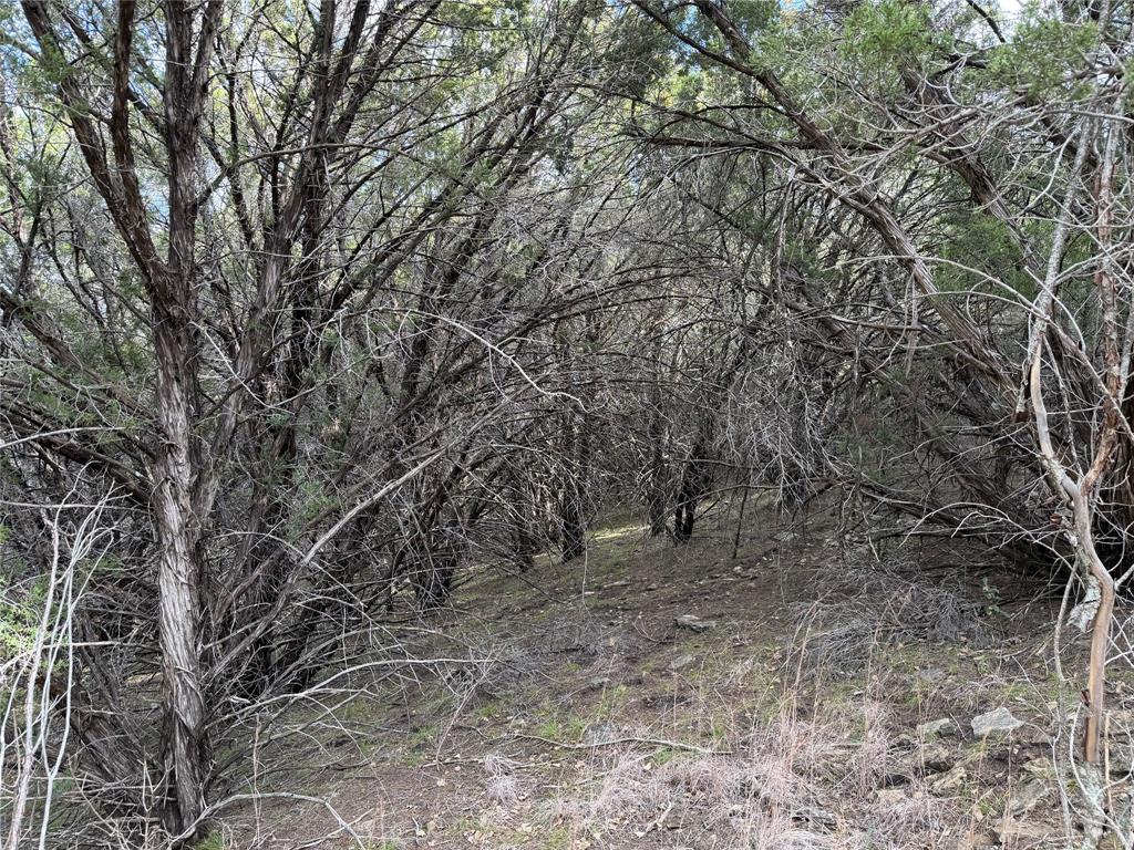 1070 Enchanted Rock Court