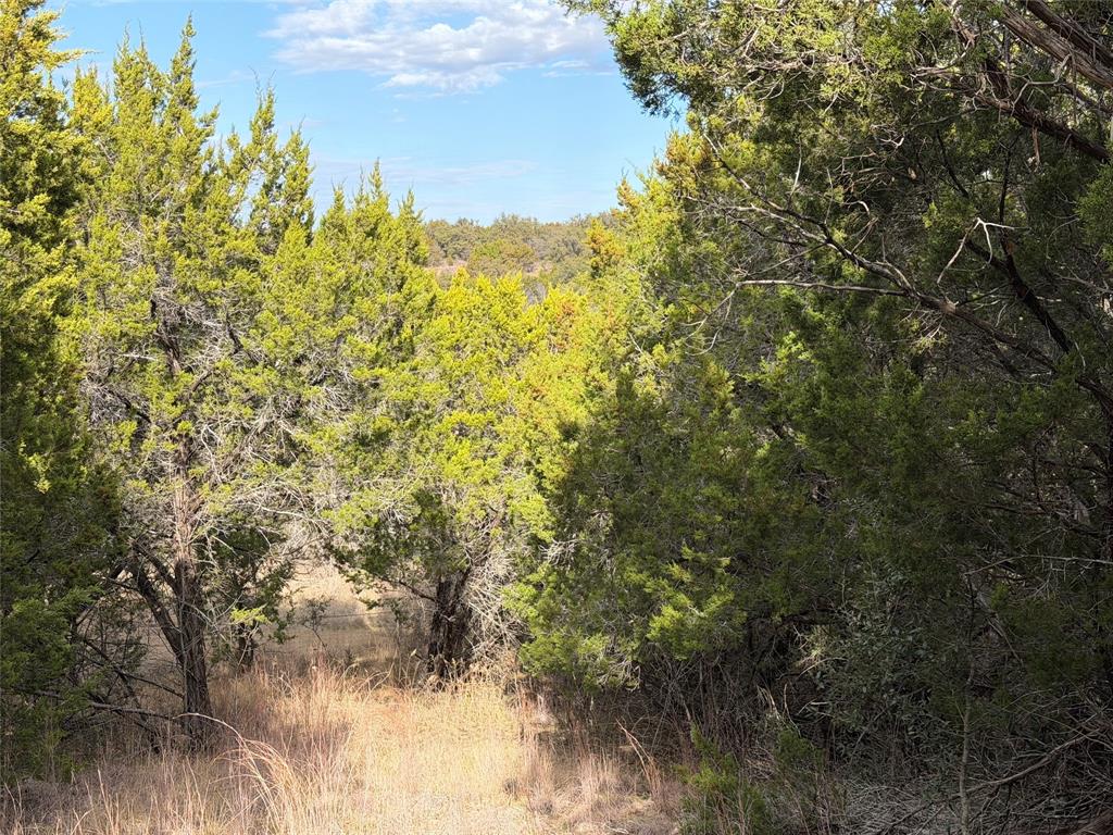 1070 Enchanted Rock Court