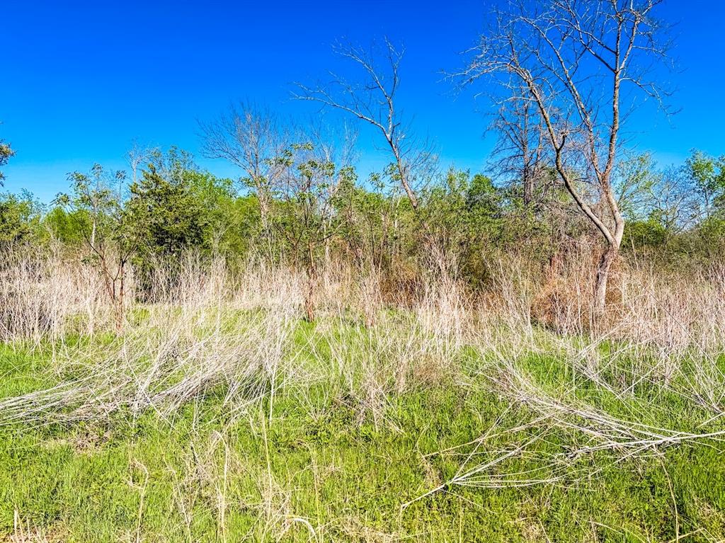 1007 S Belknap Street