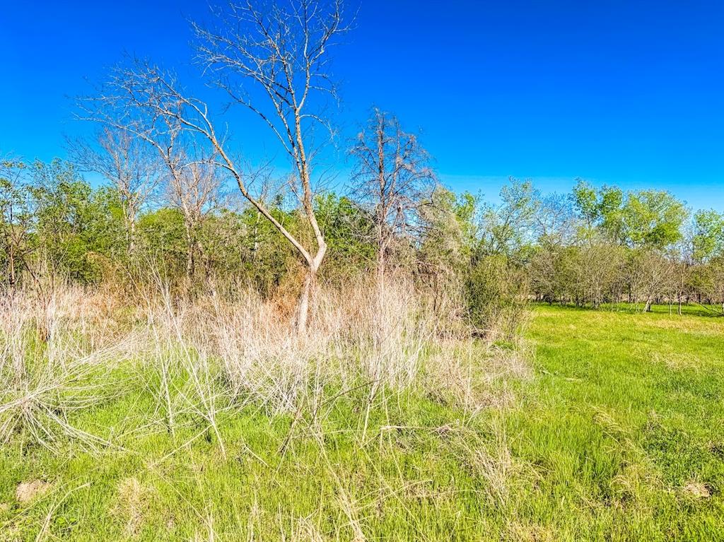 1007 S Belknap Street