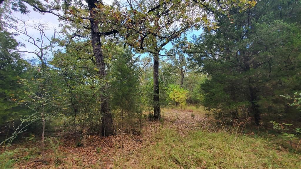 Log Cabin Estates Sec 14 - Land