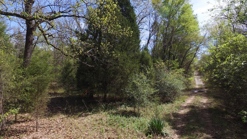 Log Cabin Estates Sec 14 - Land