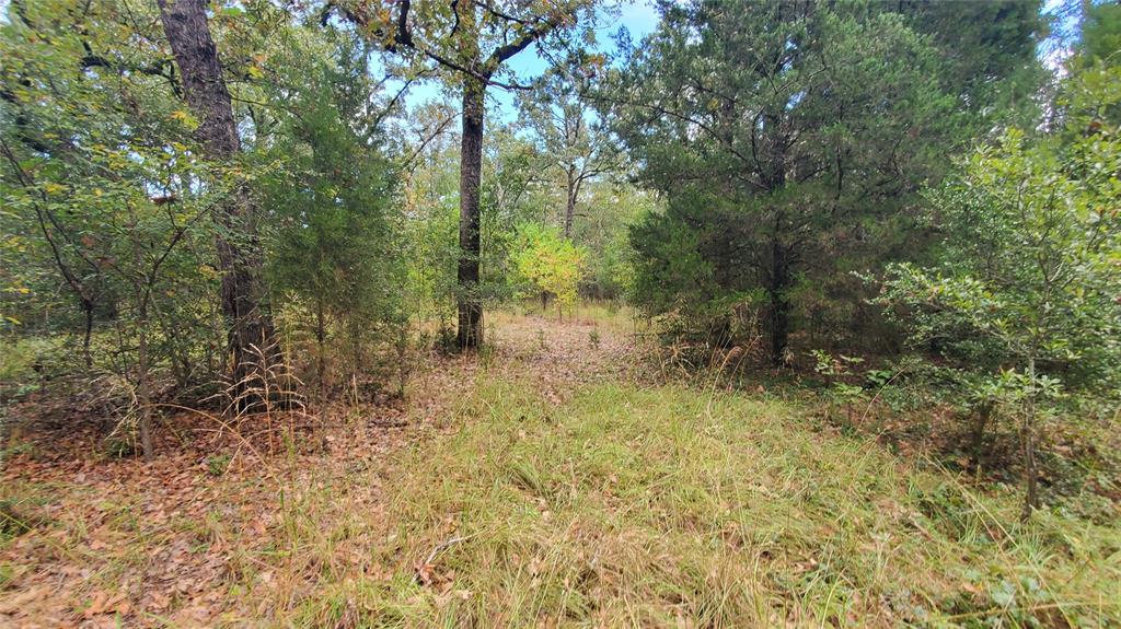 Log Cabin Estates Sec 14 - Land
