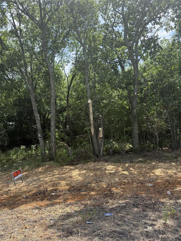 A0650 MASON WM - Land