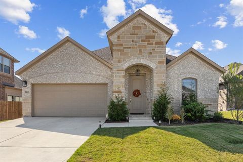 205 Michael Drive Princeton TX 75407